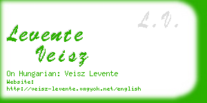 levente veisz business card